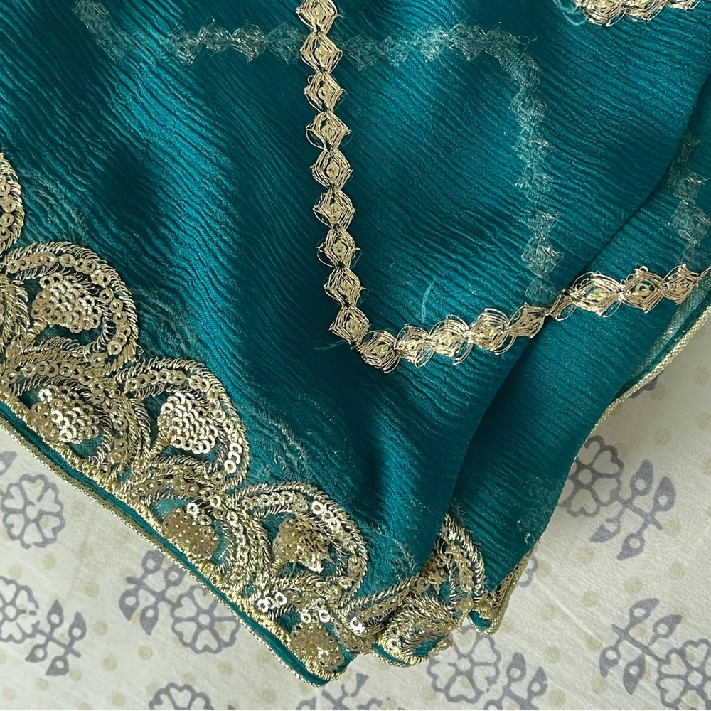 Sequin Embellished Chiffon Dupatta/Scarf - Picture 2 of 12